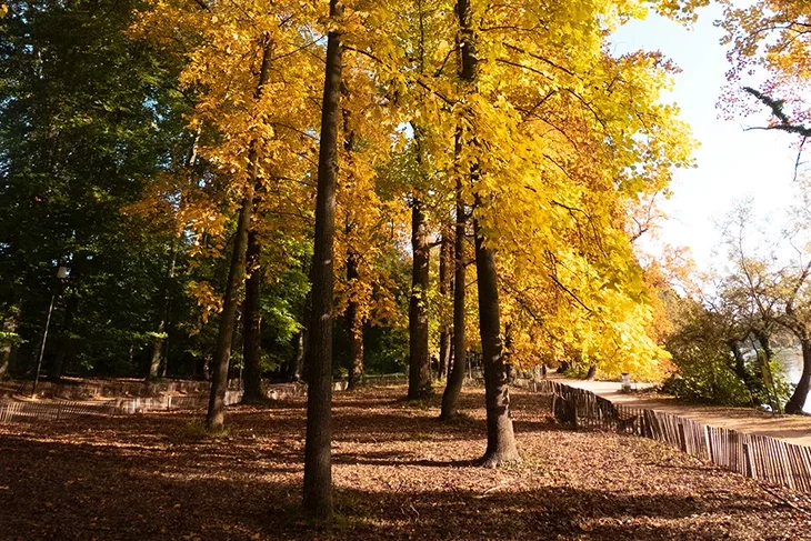 bastien-nvs-N-u6MoMBOds-unsplash copie