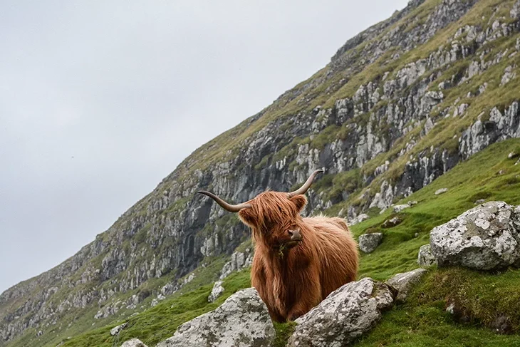 eric-welch-XucH5JNRFig-unsplash copie