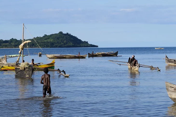 inline-1-Grande copie