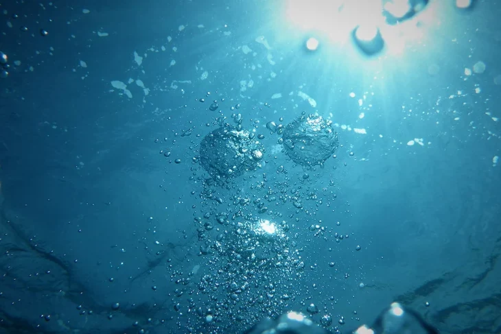 jong-marshes-79mNMAvSORg-unsplash copie