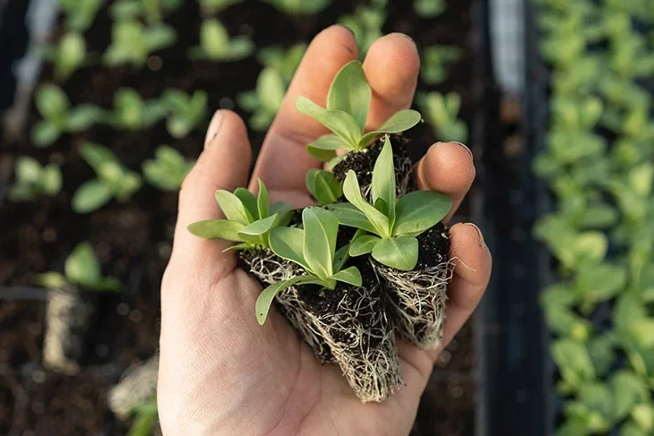 zoe-schaeffer-tbiV-yc903g-unsplash copie