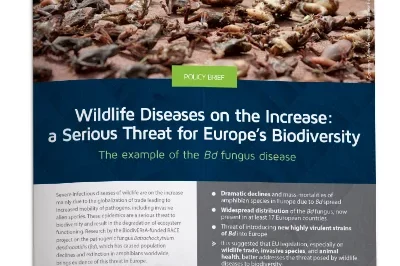 1_Wildlife diseases on the increase