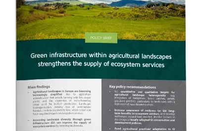 2_Green infrastructure within agricultural landscapes strengthens the supply of ecosystem services