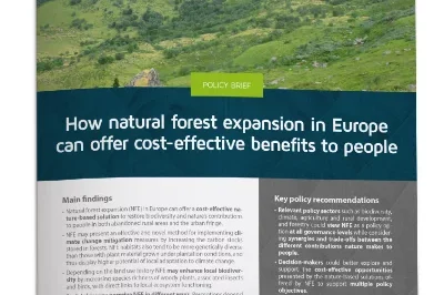 2_How natural forest expansion in Europe can offer cost-effective benefits to people
