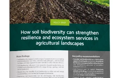 2_How soil biodiversity can strengthen resilience and ecosystem services in agricultural landscapes