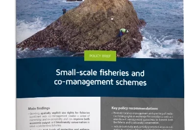 2_Small scale fisheries and co-management schemes