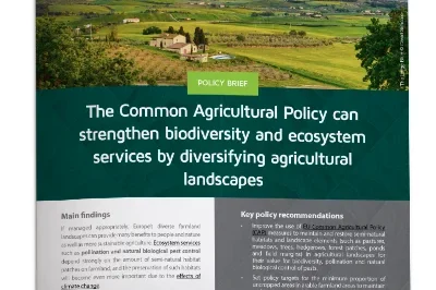 2_The Common Agricultural Policy can strengthen biodiversity and ecosystem services by diversifying agricultural landscapes