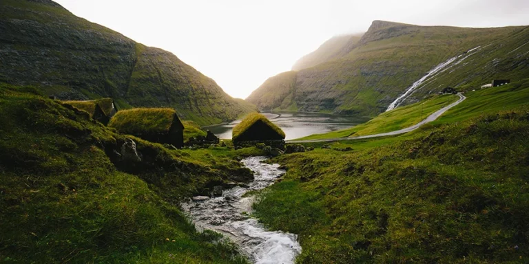 BiodivMon_marc-zimmer-yktwU2t1qHA-unsplash copie