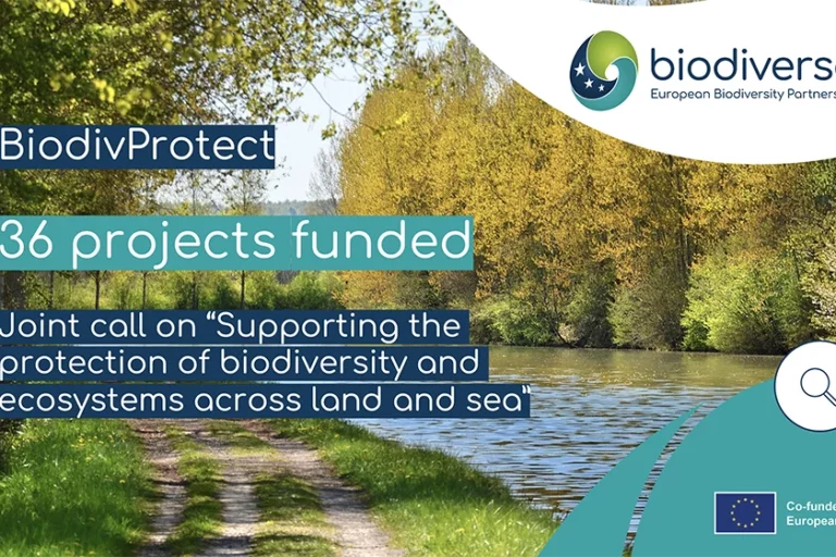 BiodivProtect_Call results