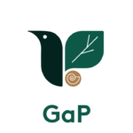 GaP logo