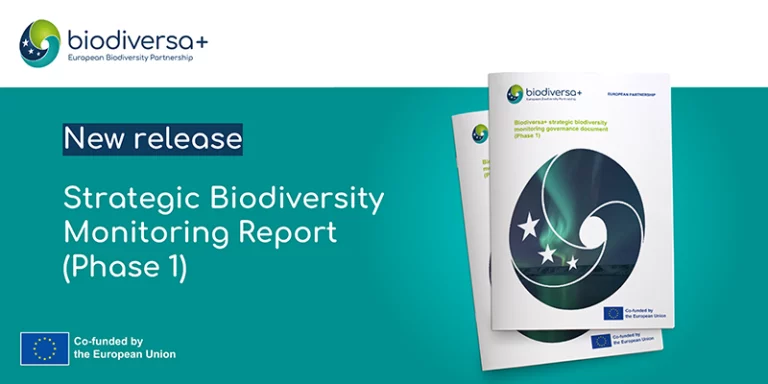 Strategic biodiversity monitoring report (phase 1)