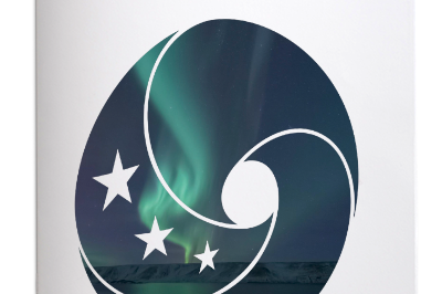 Biodiversa+ strategic biodiversity monitoring governance document (Phase 1)