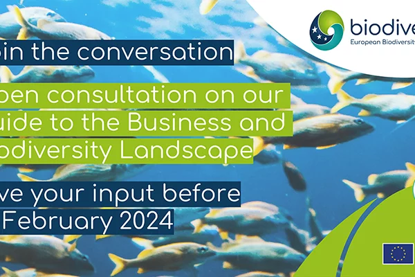 IMG_2024-26-01_open consultation business_800x400 Open Consultation on Biodiversa+ Guide to the Business and Biodiversity Landscape for European Research & Innovation (updated deadline)