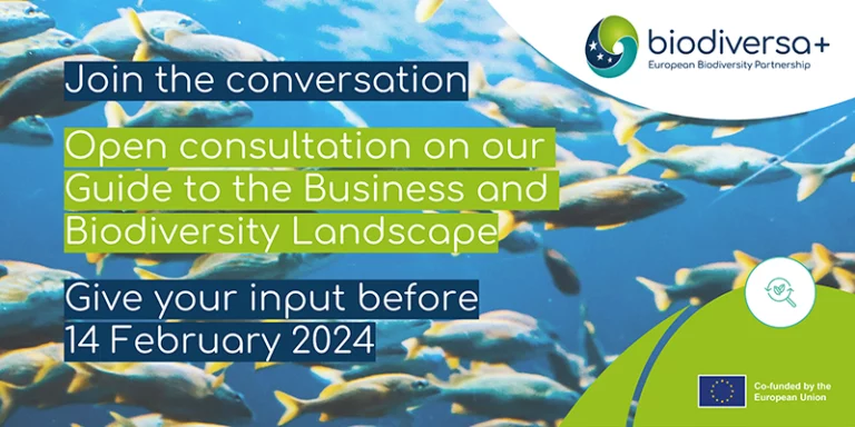Open Consultation on Biodiversa+ Guide to the Business and Biodiversity Landscape for European Research & Innovation (updated deadline)