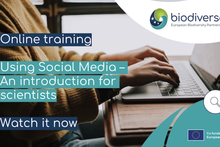 Social Media Training