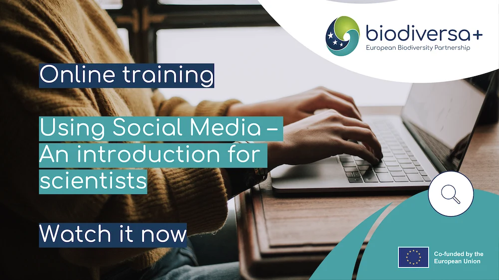 Social Media Training