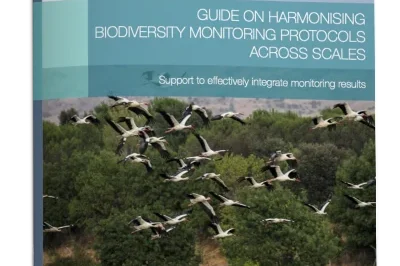 Guide on harmonising biodiversity monitoring