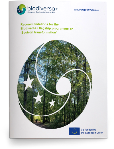 Recommendations on societal transformation