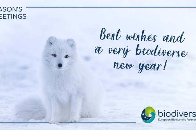 IMG_2023-12-20_2023-greetings-card_800x450 Best wishes and a very biodiverse new year