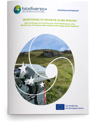 IAS Pilot Midterm Report