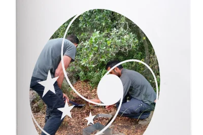 Soil Biodiversity Pilot Midterm Report