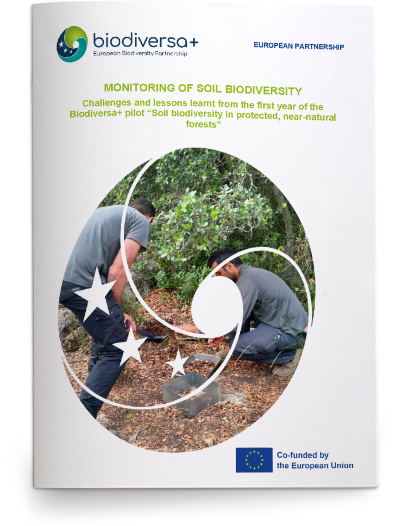 Soil Biodiversity Pilot Midterm Report