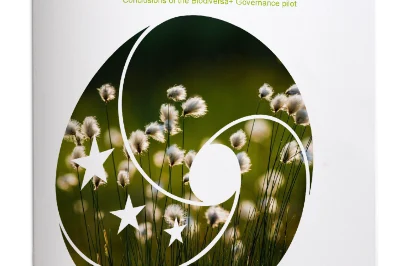 Governance Pilot Conclusions