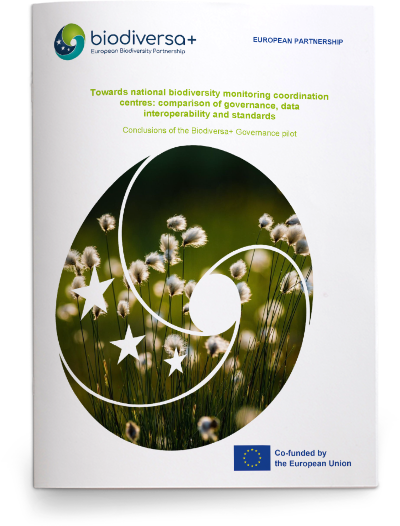 Governance Pilot Conclusions