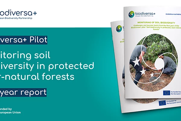 Pilot on soil biodiversity monitoring: first year report