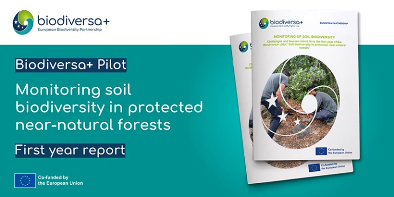 Pilot on soil biodiversity monitoring: first year report