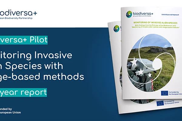 Pilot on IAS monitoring: first year report