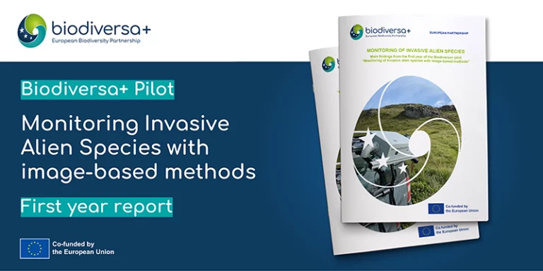 Pilot on IAS monitoring: first year report