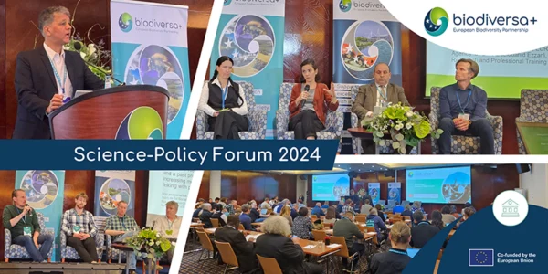 Science-Policy Forum 2024 post-event