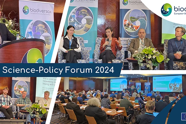 IMG_2024-04-22_Science-Policy Forum post-event_800x400 Science-Policy Forum 2024 post-event