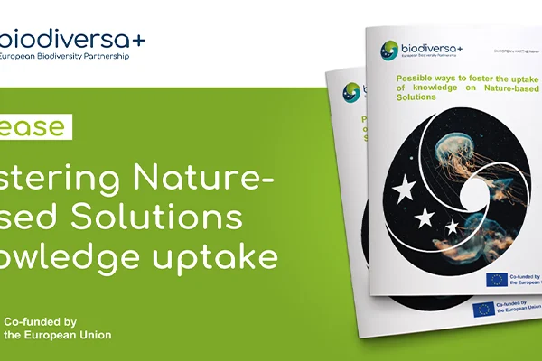 IMG_2024-04-26_MS3.9 NbS knowledge uptake_800x400 Report on ways to foster the uptake of knowledge on NbS