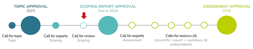 IPBES second global assessment timeline IPBES second global assessment timeline