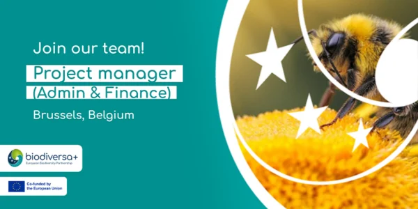 Open vacancy: project manager