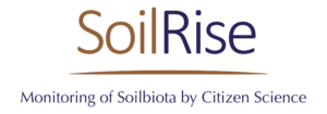 SoilRise_logo
