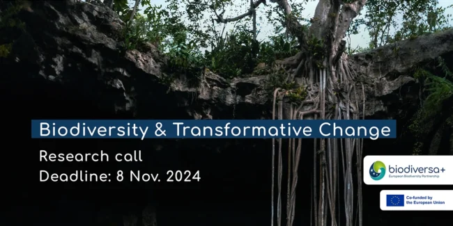Research Call: Biodiversity and Transformative Change