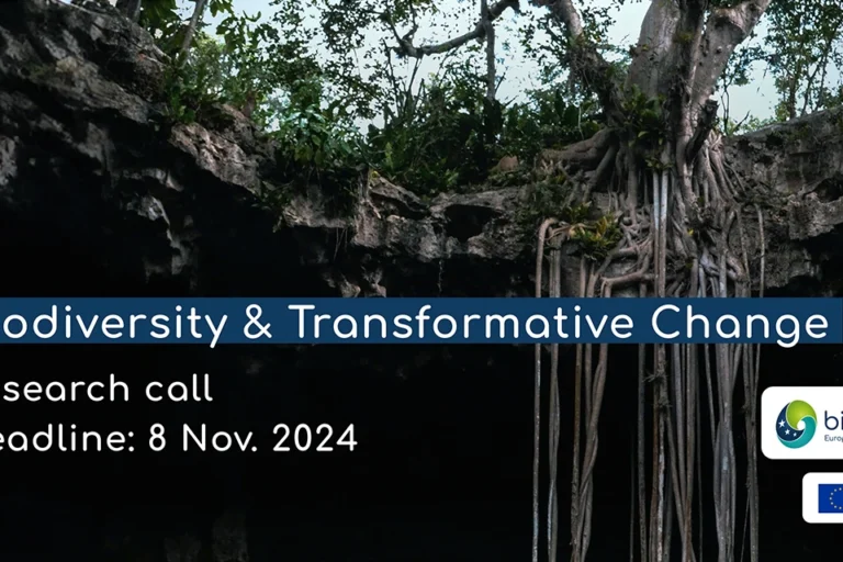Research Call: Biodiversity and Transformative Change