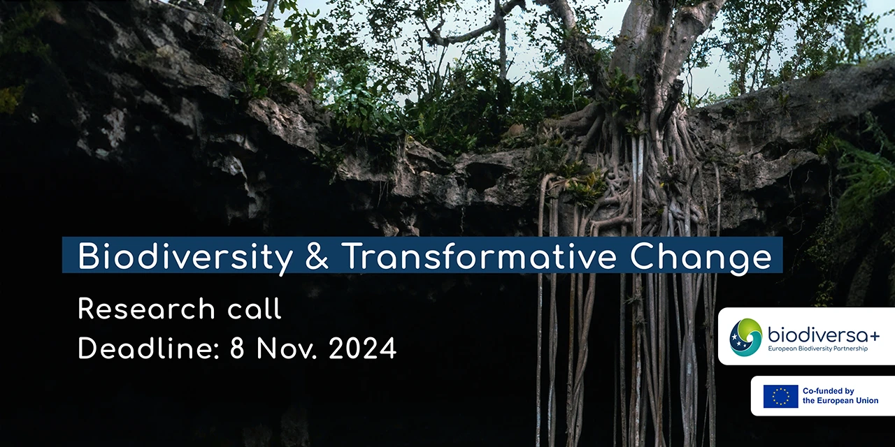 Research Call: Biodiversity and Transformative Change
