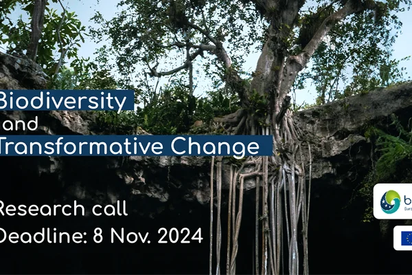 IMG_2024-09-10_BiodivTransform-launch_800x400-1 Research Call: Biodiversity and Transformative Change