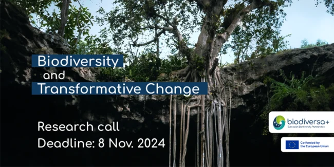 Research Call: Biodiversity and Transformative Change