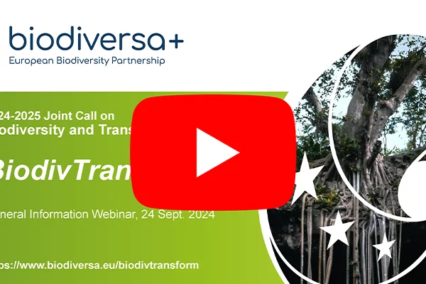 BiodivTransform information webinar BiodivTransform information webinar