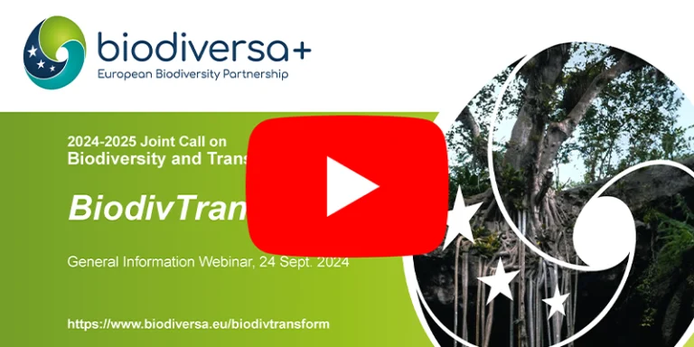 BiodivTransform information webinar BiodivTransform information webinar