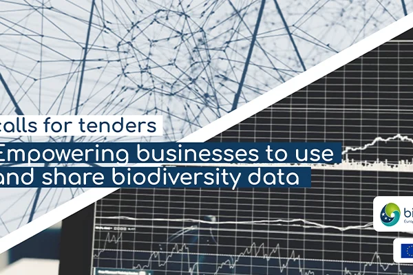 IMG_2024-10-03_Tenders business guides_800x400 Calls for tenders: business guides