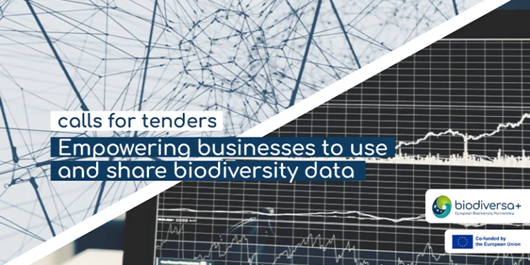 Calls for tenders: business guides