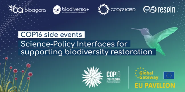 COP16 side events