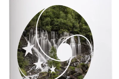 Concept note on a methodological approach to define priorities for monitoring biodiversity