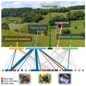 Brief-bees-fig02-habitats